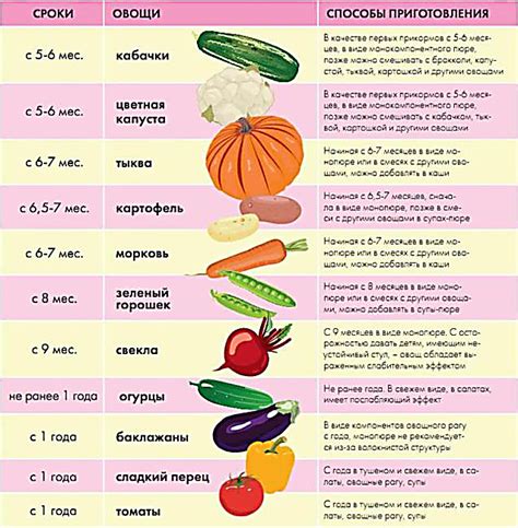 Овощи для первого прикорма: как выбрать, как варить и почему они важны?