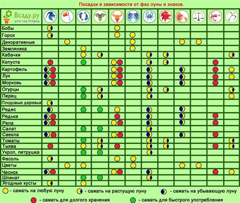 Овощи для посадки в период убывающей луны