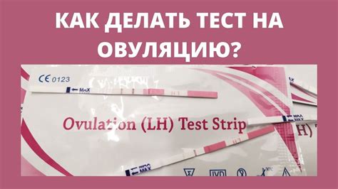 Овуляционные тесты: принцип работы и назначение