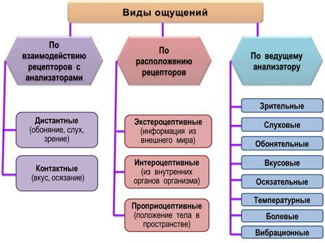 Овуляция и болевые ощущения