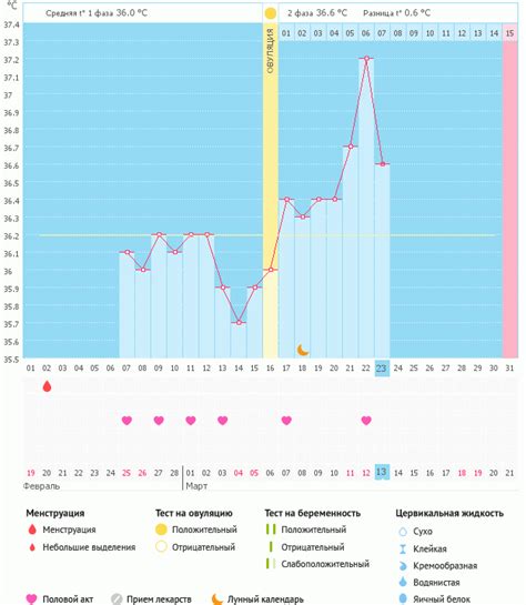 Овуляция и изменение базовой температуры