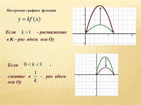 Ограничение по оси OX: понятие и значение