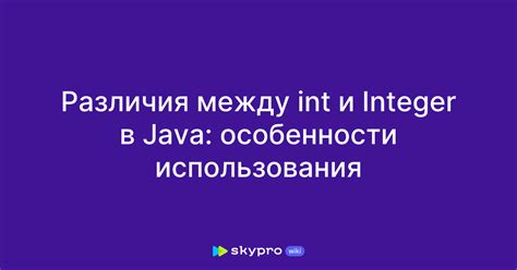 Ограничения и особенности использования int input