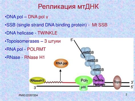 Ограничения модели репликации фонда