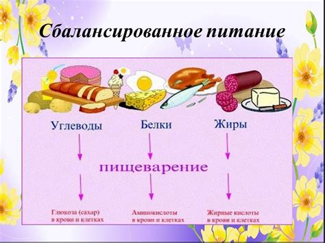 Ограничения на содержание сахаров в пищевых продуктах