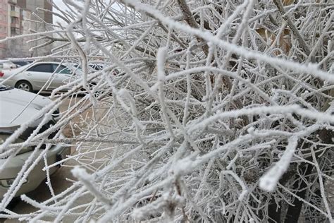 Ограничения по возрасту для участия во второй смене