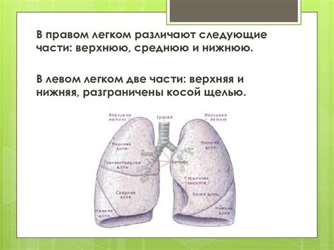 Ограничения респираторной системы