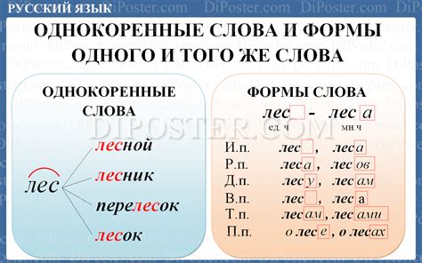 Однокоренные слова: что это?