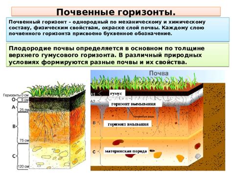 Однородный грунт: определение и свойства