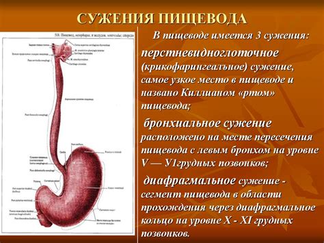 Ожег пищевода и го-гофу дерерафм!