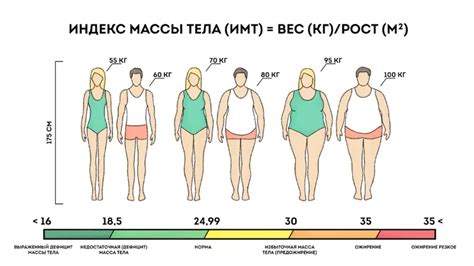 Ожирение: определение и характеристики