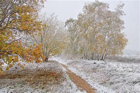 Означает первый снег