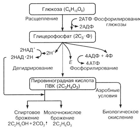 Окисление продукта