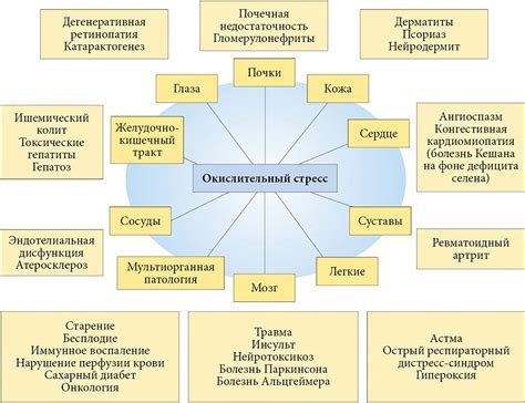 Окислительный стресс - определение и причины