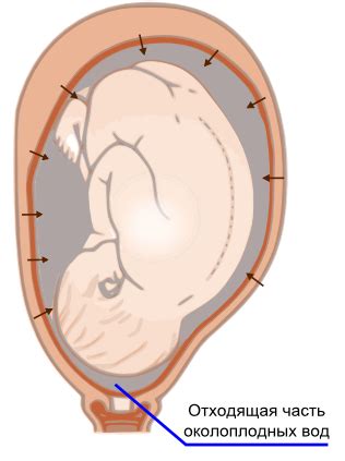 Околоплодная жидкость: состав и роль