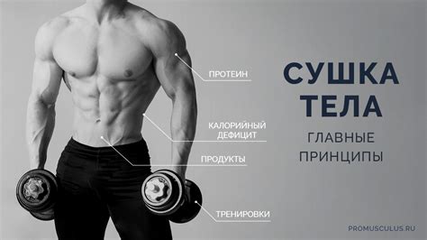 Округлые формы тела в фитнесе