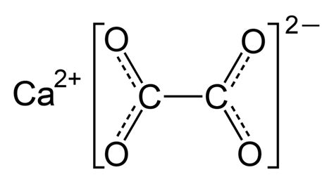 Оксалат кальция: основные факты и свойства