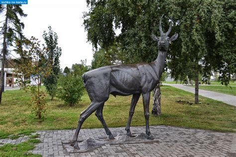 Олень в символике