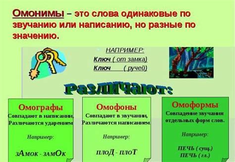 Омографы примеры