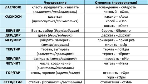 Омонимичные корни: определение и роль в русском языке