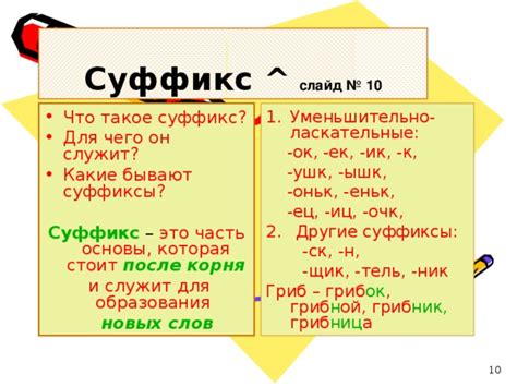 Омонимичный корень и его роль в словообразовании