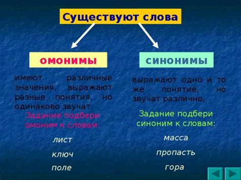 Омонимы в лингвистике: понятие и значения