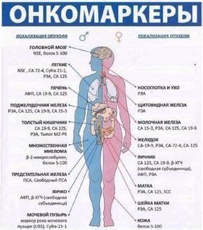 Онкомаркеры СА125: роль и значение в диагностике рака