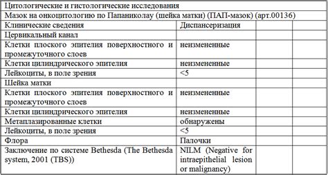 Онкоцитология мазок: различные результаты и их интерпретация