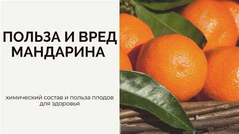 Опасности злых плодов для здоровья