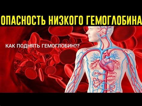 Опасность низкого уровня гемоглобина