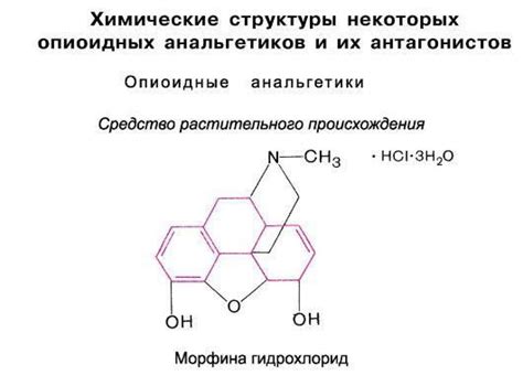 Опиоидные анальгетики: основные типы и их назначение