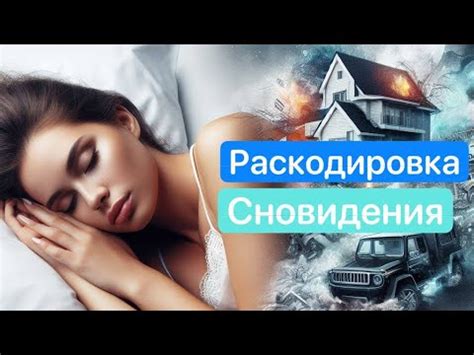 Описание значения сновидения "сачок никакой я не жучок" в соннике