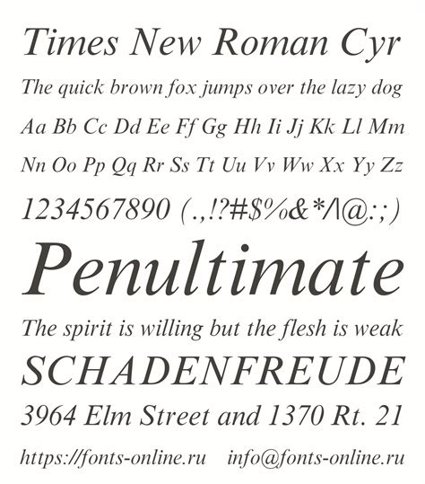 Описание и история шрифта Times New Roman Cyr