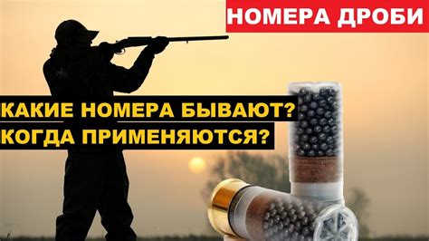 Описание картечи и ее устройства