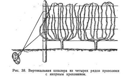 Описание наливников и их устройство