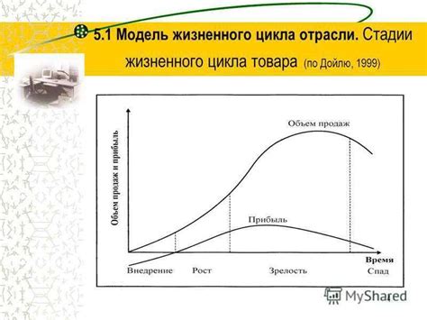 Описание основных стадий