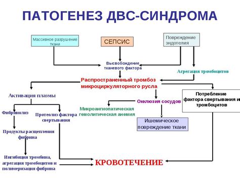 Описание синдрома Месси