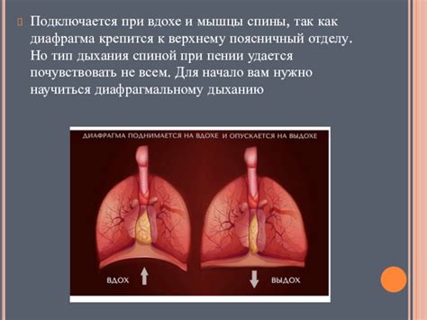 Опора дыхания: как влияет на объемный звук