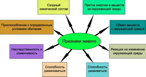 Определение "босяцкой жизни"