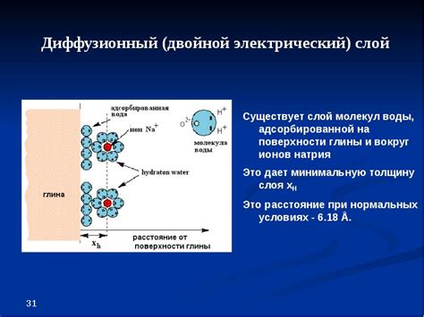 Определение адсорбированной воды