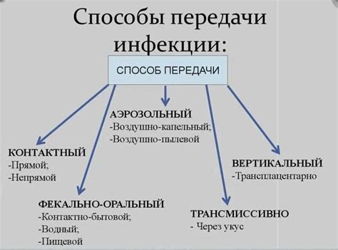 Определение алиментарного пути заражения