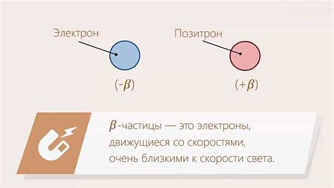 Определение бета особи