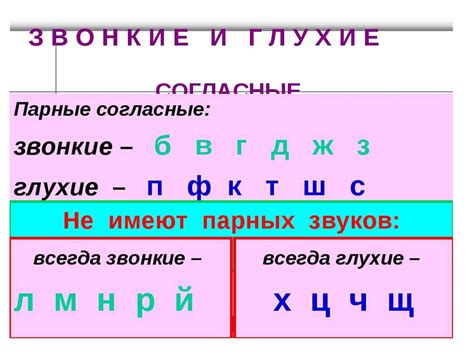 Определение буквами проверяемых согласных: основные правила и примеры