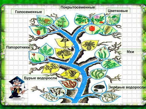 Определение видов животных и растений