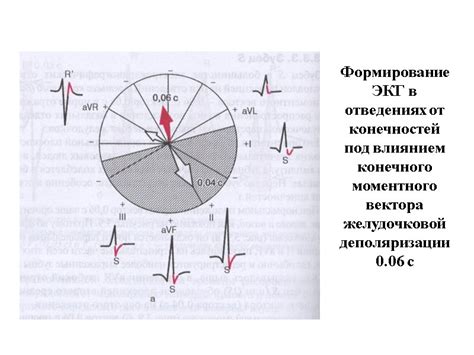 Определение вольтажа ЭКГ от конечностей