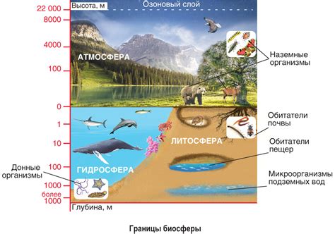 Определение границы и ее роль