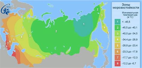 Определение зоны для цветов: сезонность и морозостойкость