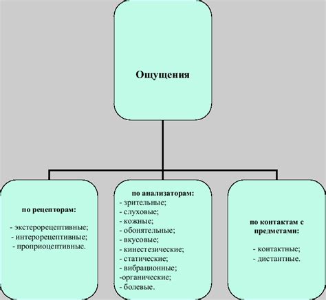 Определение и значение ольфакторных ощущений