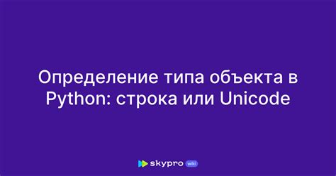 Определение и значение типа объекта