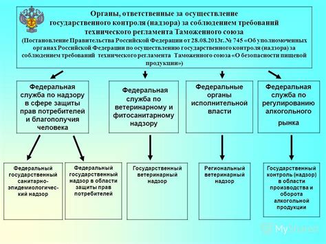 Определение и назначение федерального надзора